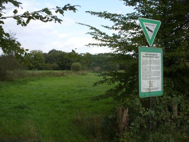 Hammersbecker Wiesen: Bremen’s Protected Wetland Reserve in Vegesack