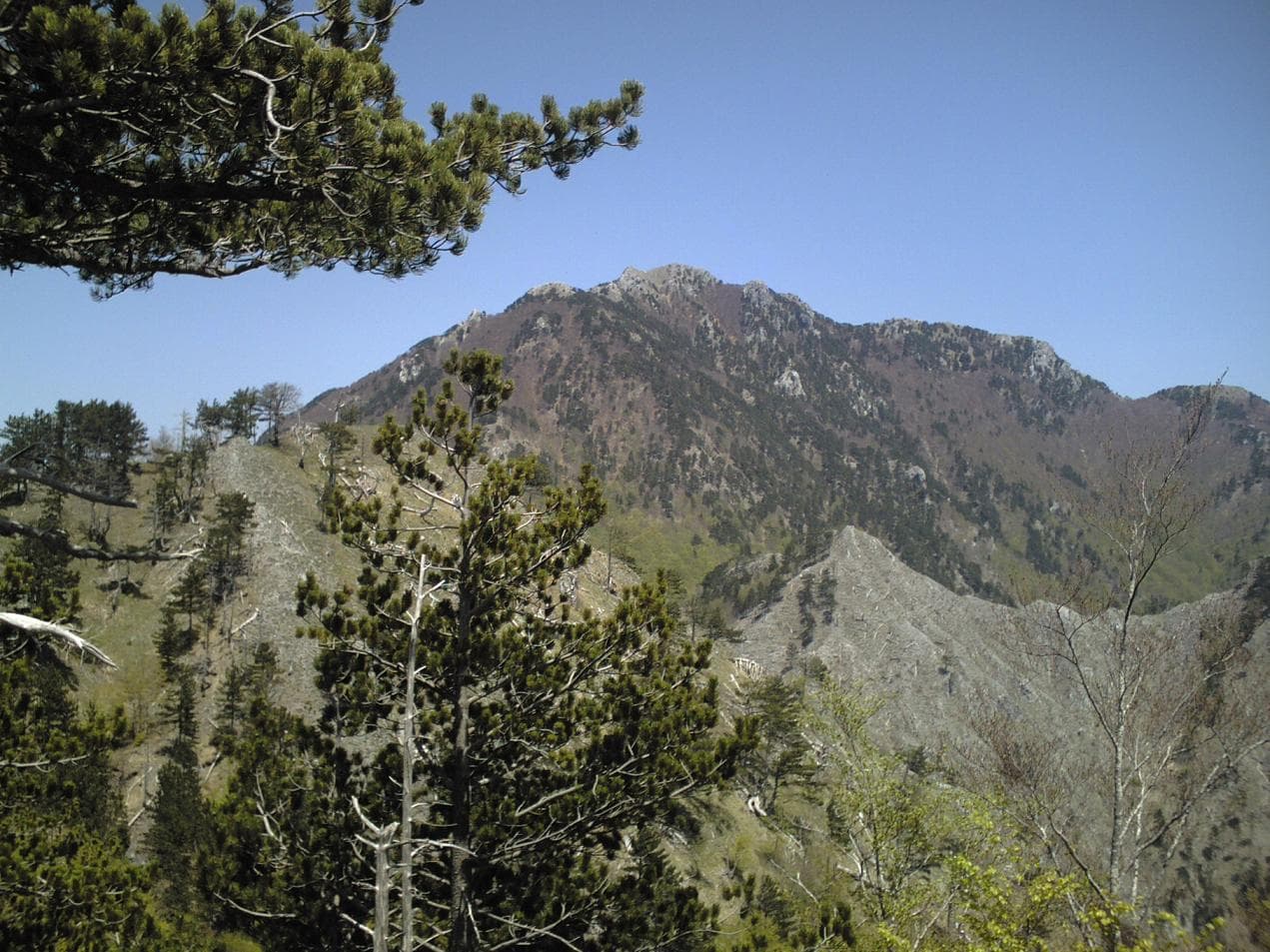 Montea: Hiking Calabria’s Rugged Mountain Wilderness