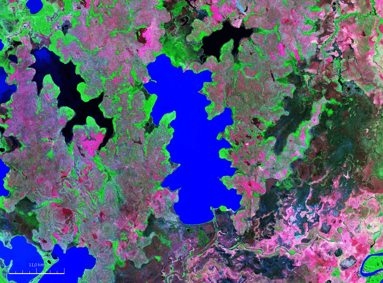 Huaytunas Lake: Bolivia’s Remote Amazonian Lagoon in Yacuma Province
