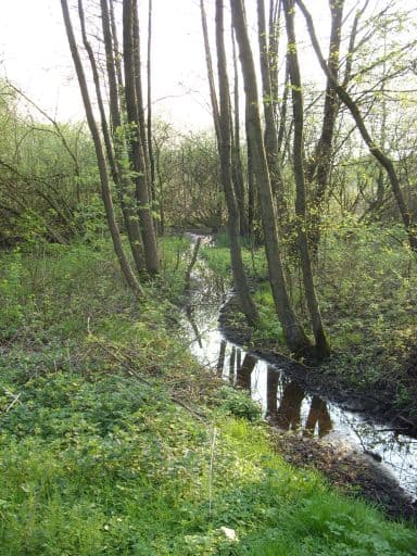 Discovering the Ihle River: A Serene Escape in Burglesum, Bremen