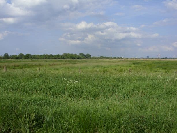 Ochtumniederung bei Brokhuchting: Bremen’s Quiet Wetland Reserve