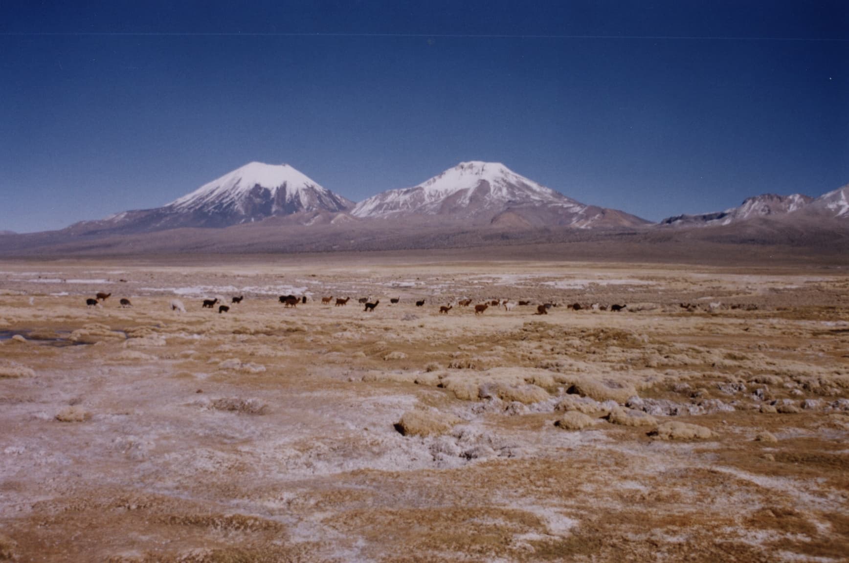 Pomerape: Scaling Bolivia’s Striking Andean Volcano