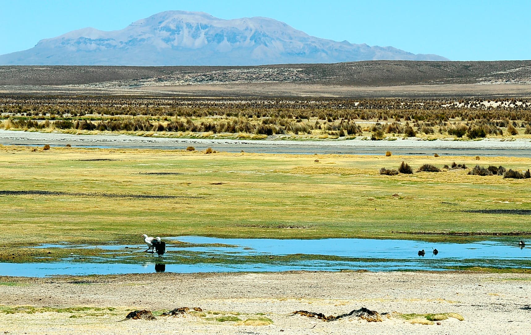 Márquez River: Exploring Bolivia’s Remote Highland Waterway