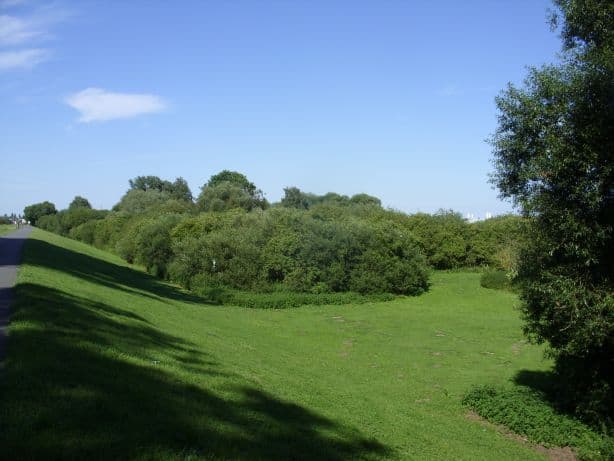 Vogelschutzgebiet Arsten Habenhausen: Birdwatching in Bremen’s Protected Wetlands