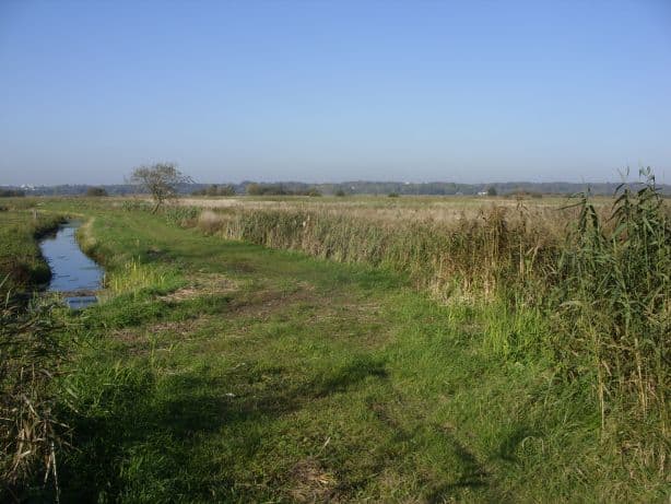 Werderland: Bremen’s Protected River Island Wilderness
