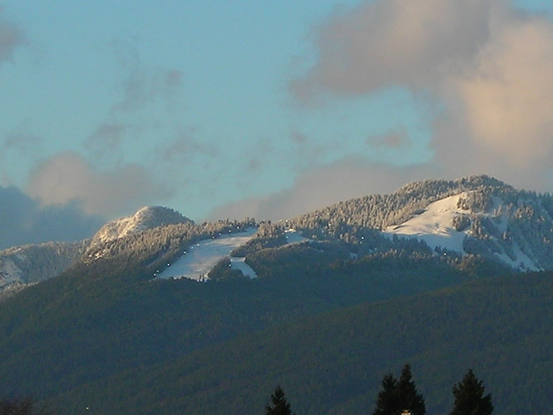 Grouse Mountain: Year-Round Alpine Adventures Above Vancouver