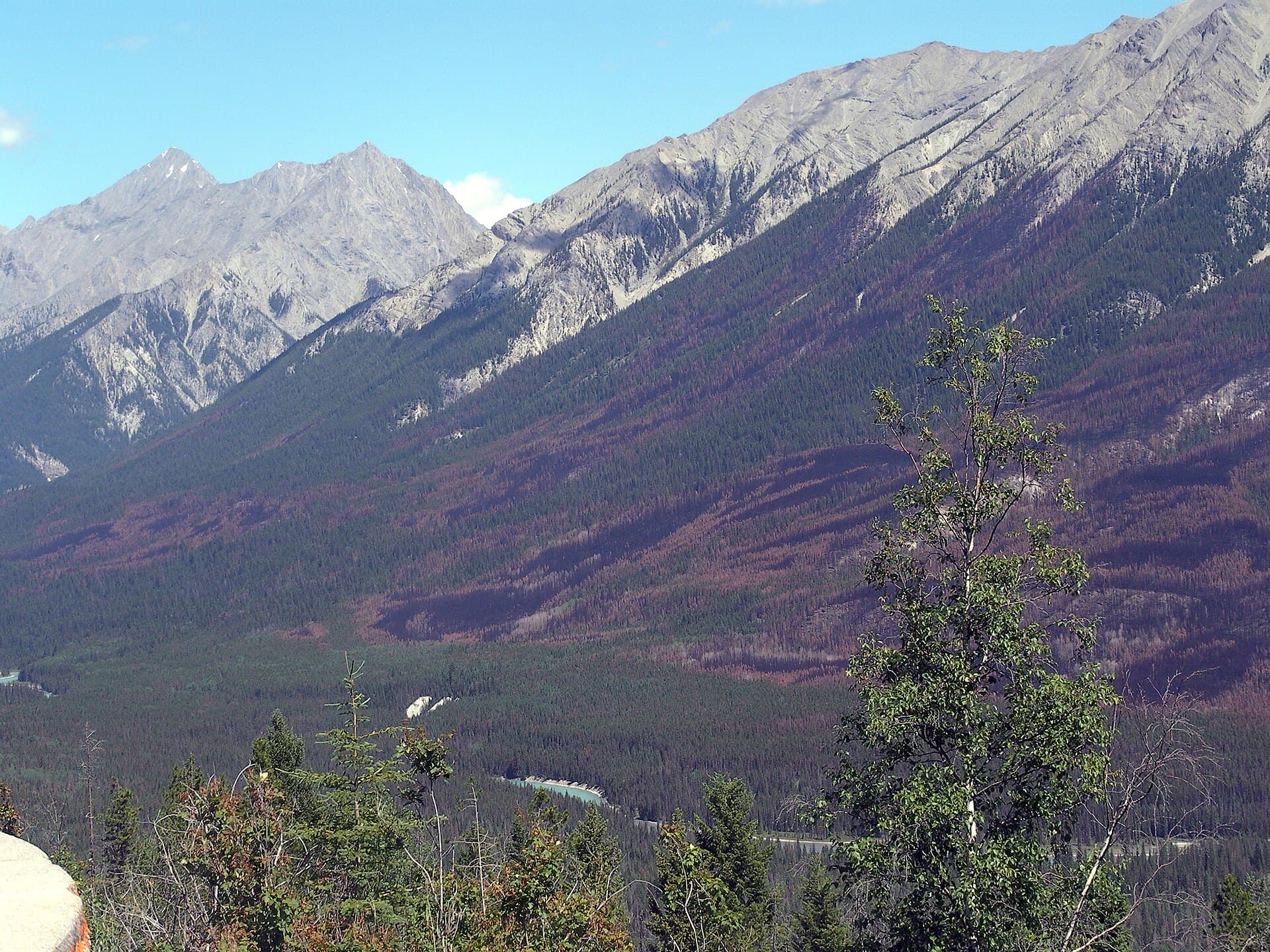 Kootenay River: Rafting, Fishing, and Wild Beauty in British Columbia