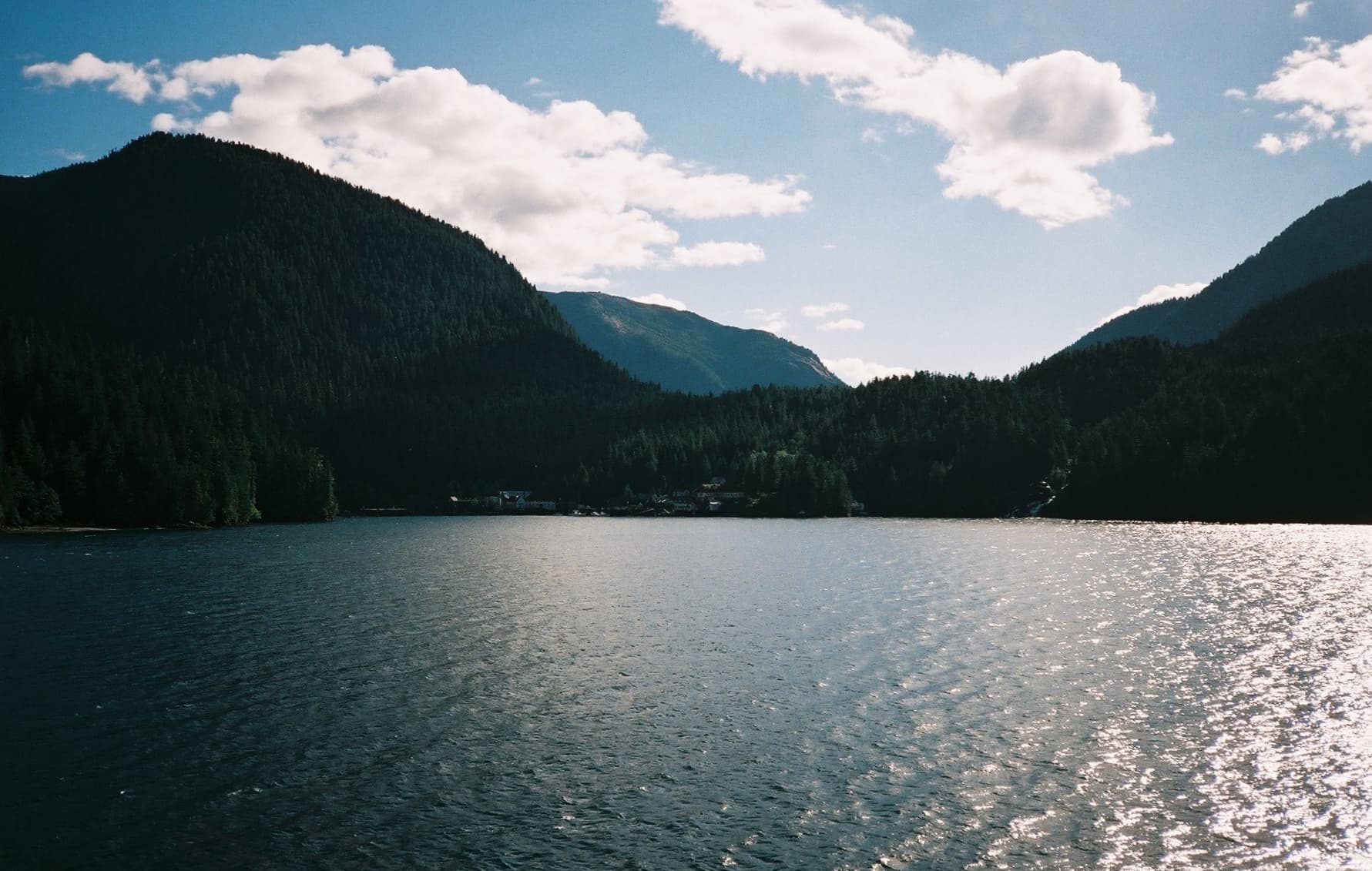 Princess Royal Island: Remote Wilderness and Spirit Bears in British Columbia