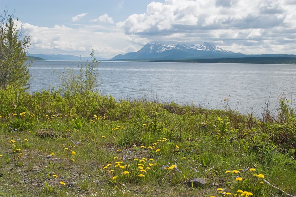Teslin Lake: Remote Wilderness Fishing and Wildlife in Northern British Columbia