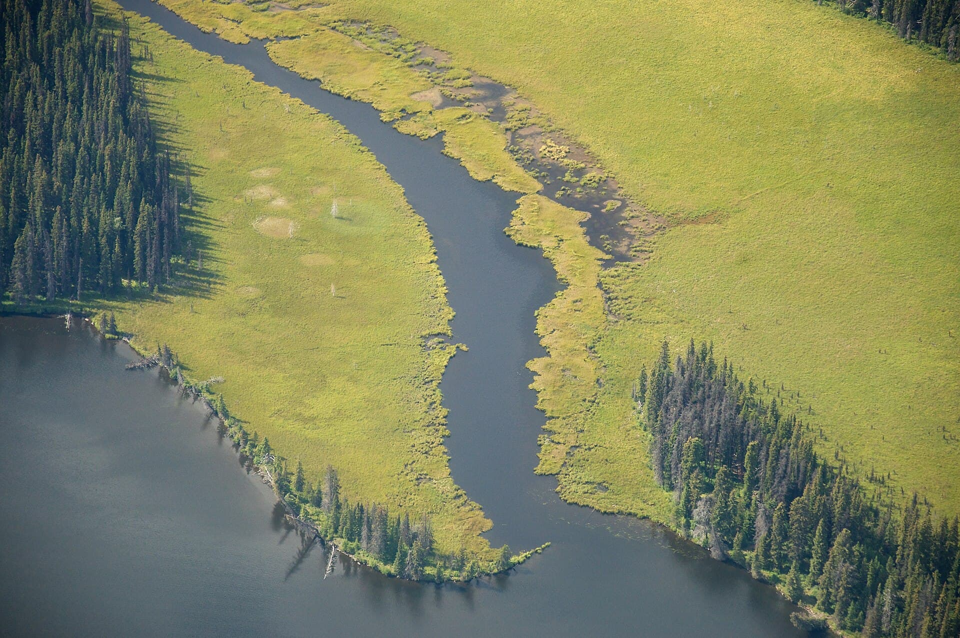 Dean River: Remote Wilderness Fishing in British Columbia’s Central Coast
