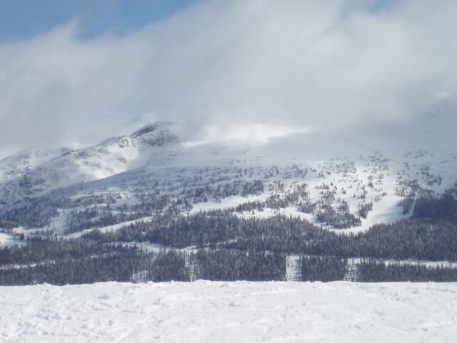Blackcomb Peak: Year-Round Alpine Adventures in Whistler