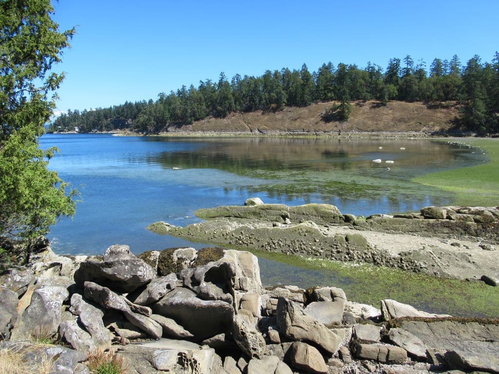 Thetis Island: A Quiet Gem in British Columbia’s Gulf Islands