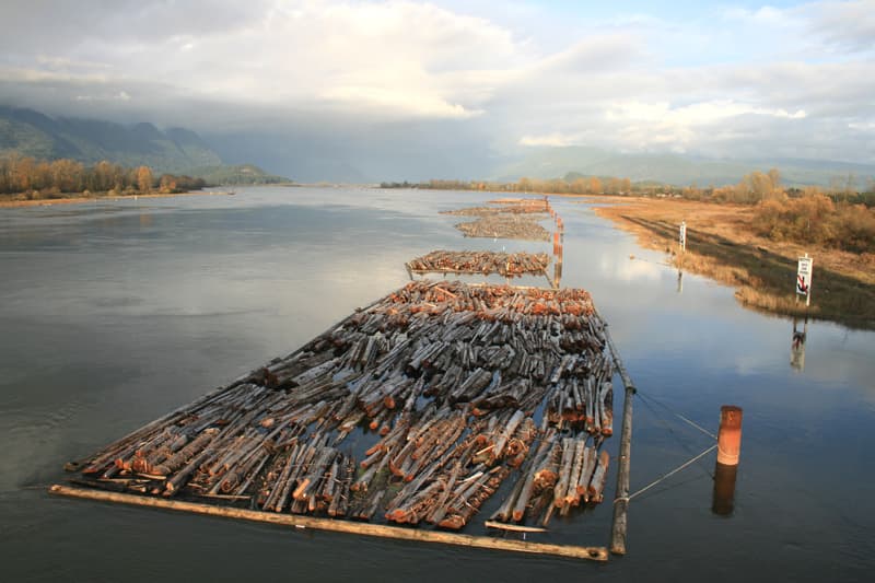 Pitt River: Exploring British Columbia’s Scenic Waterway Near Vancouver