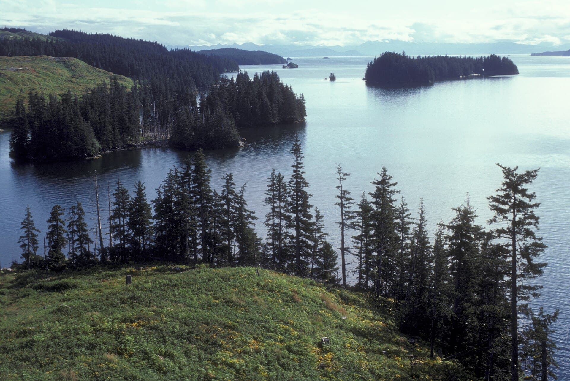 Afognak Island: Alaska’s Pristine Wilderness Escape