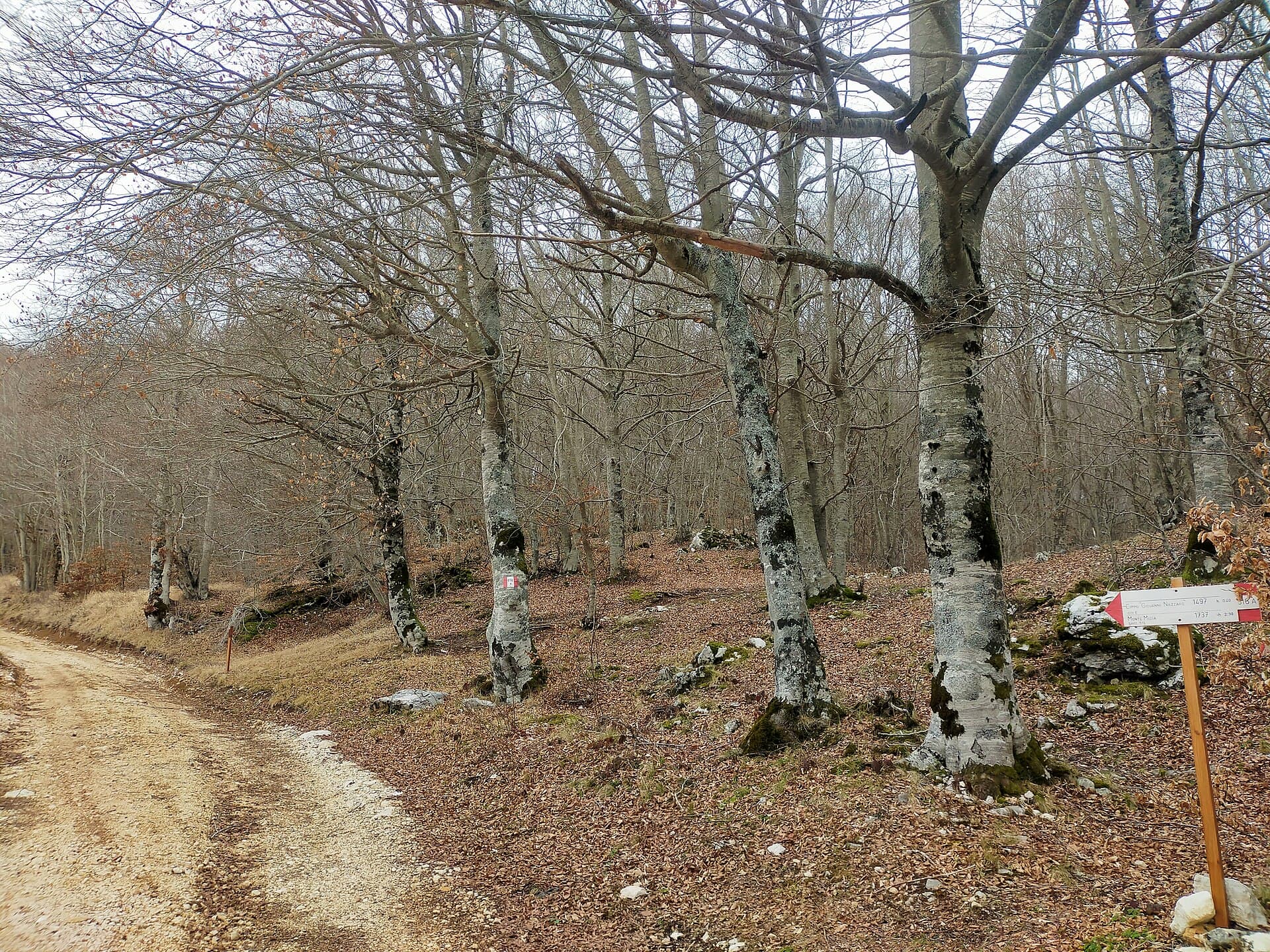 Monte Midia: Hiking Abruzzo’s Quiet Apennine Summit