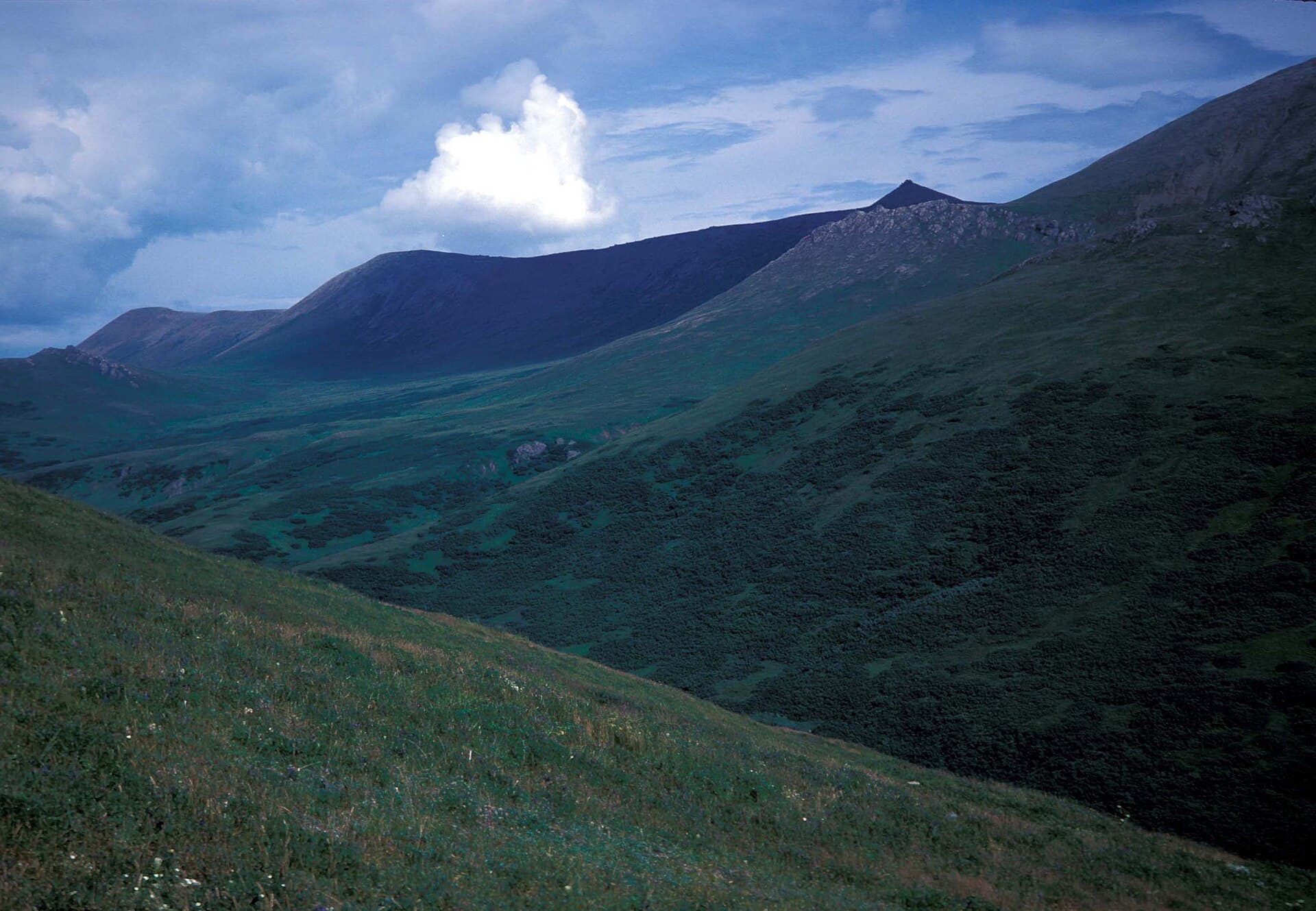 Hagemeister Island: Remote Wilderness in Alaska’s Bristol Bay