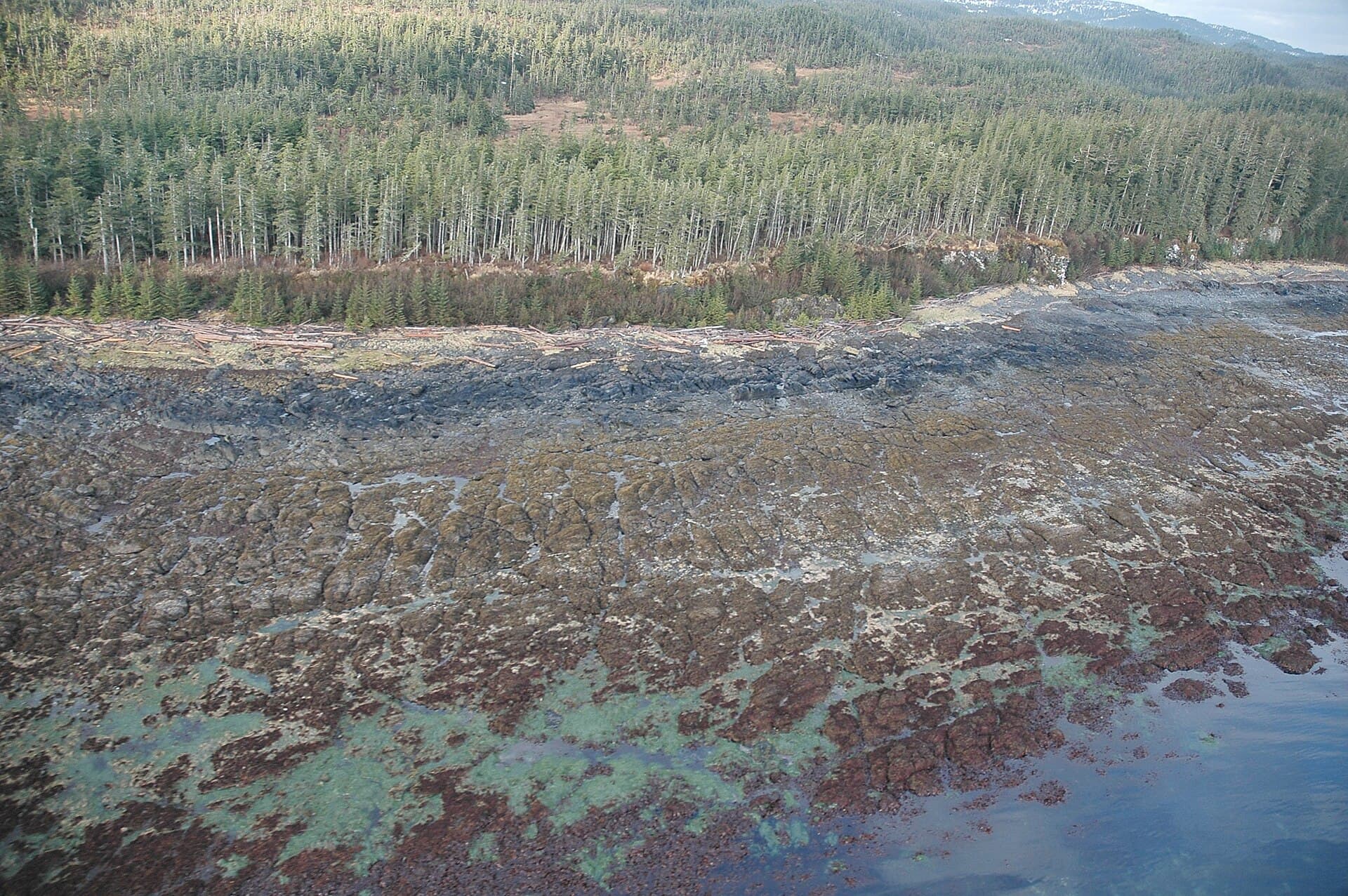 Montague Island: Alaska’s Largest Chugach Island Wilderness