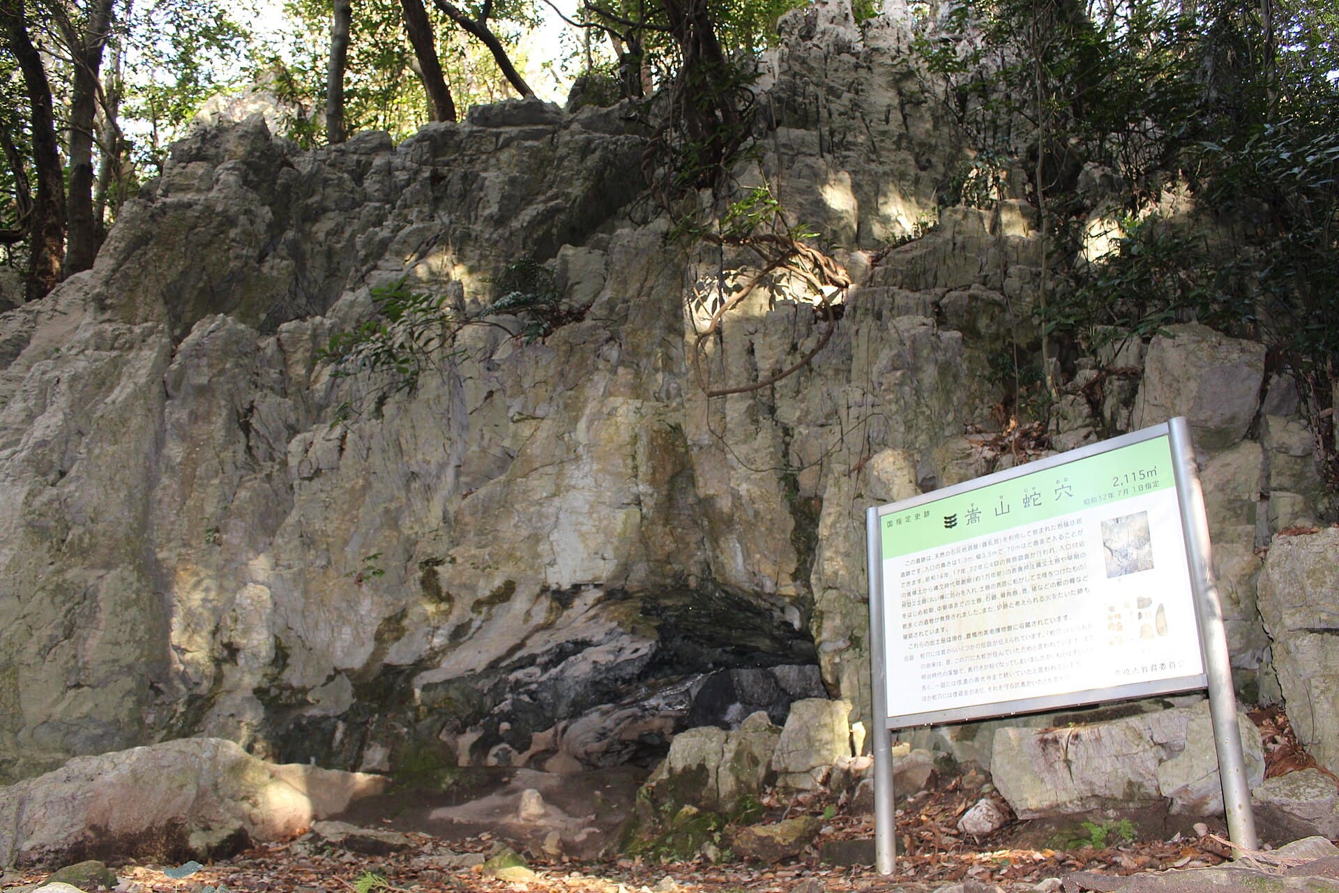 Susenoja Cave: Exploring Toyohashi’s Hidden Limestone Labyrinth