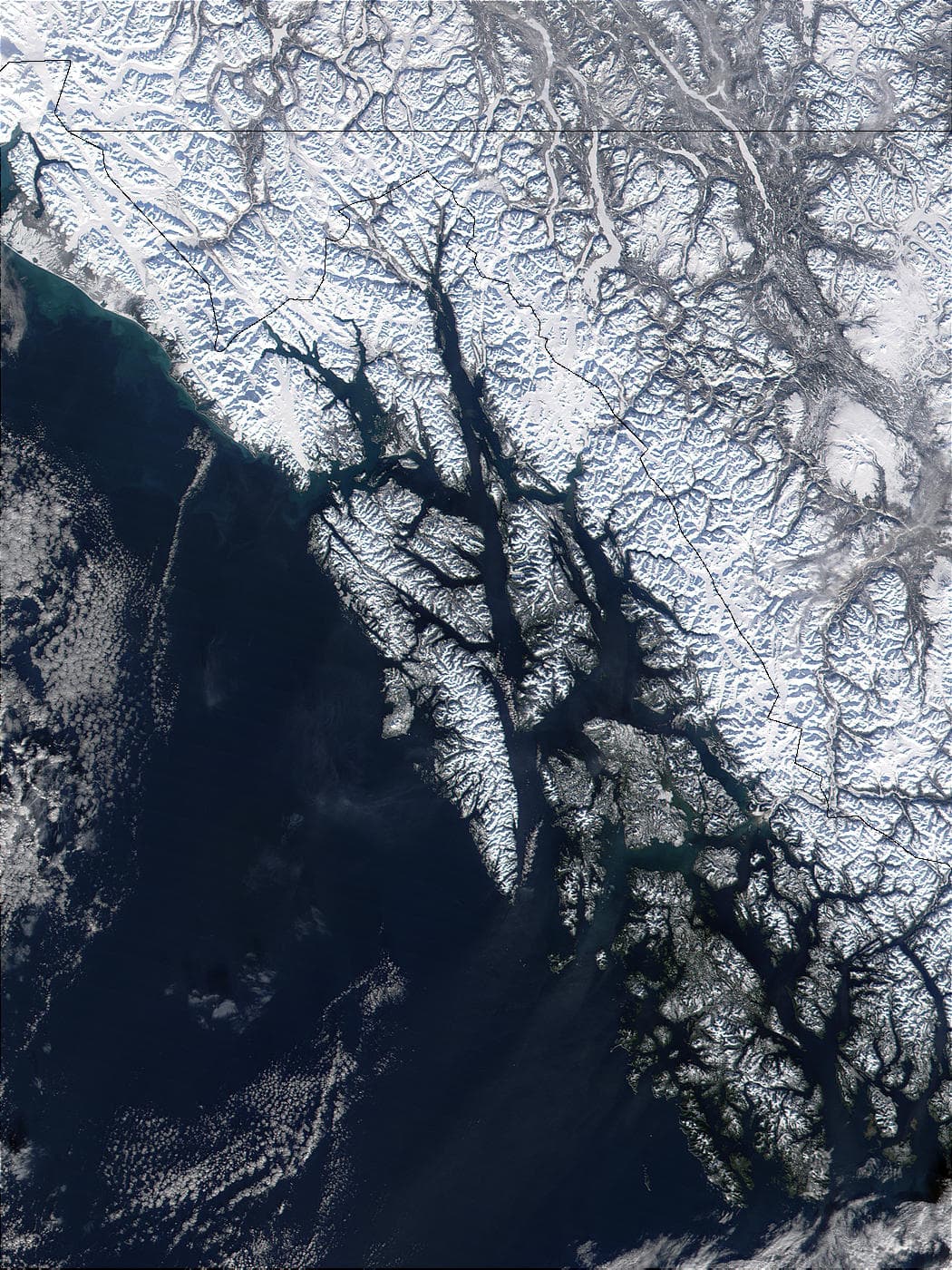 Chichagof Island: Alaska’s Premier Brown Bear Wilderness