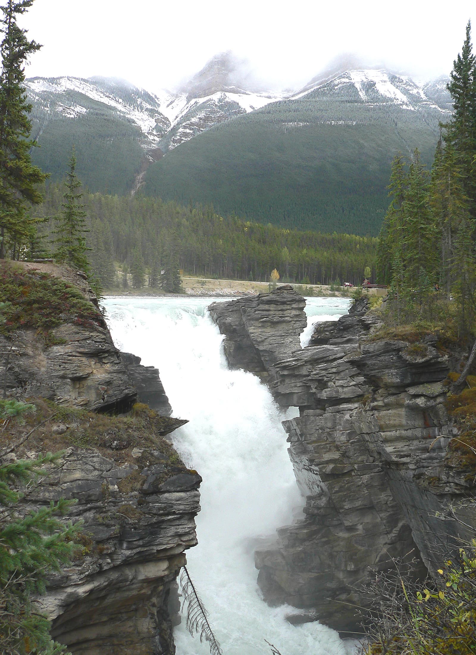 Athabasca Falls: A Must-See Waterfall in Jasper National Park