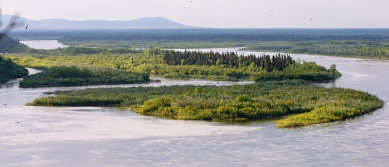 Nushagak River: Remote Alaska Salmon Fishing in the Bristol Bay Wilderness