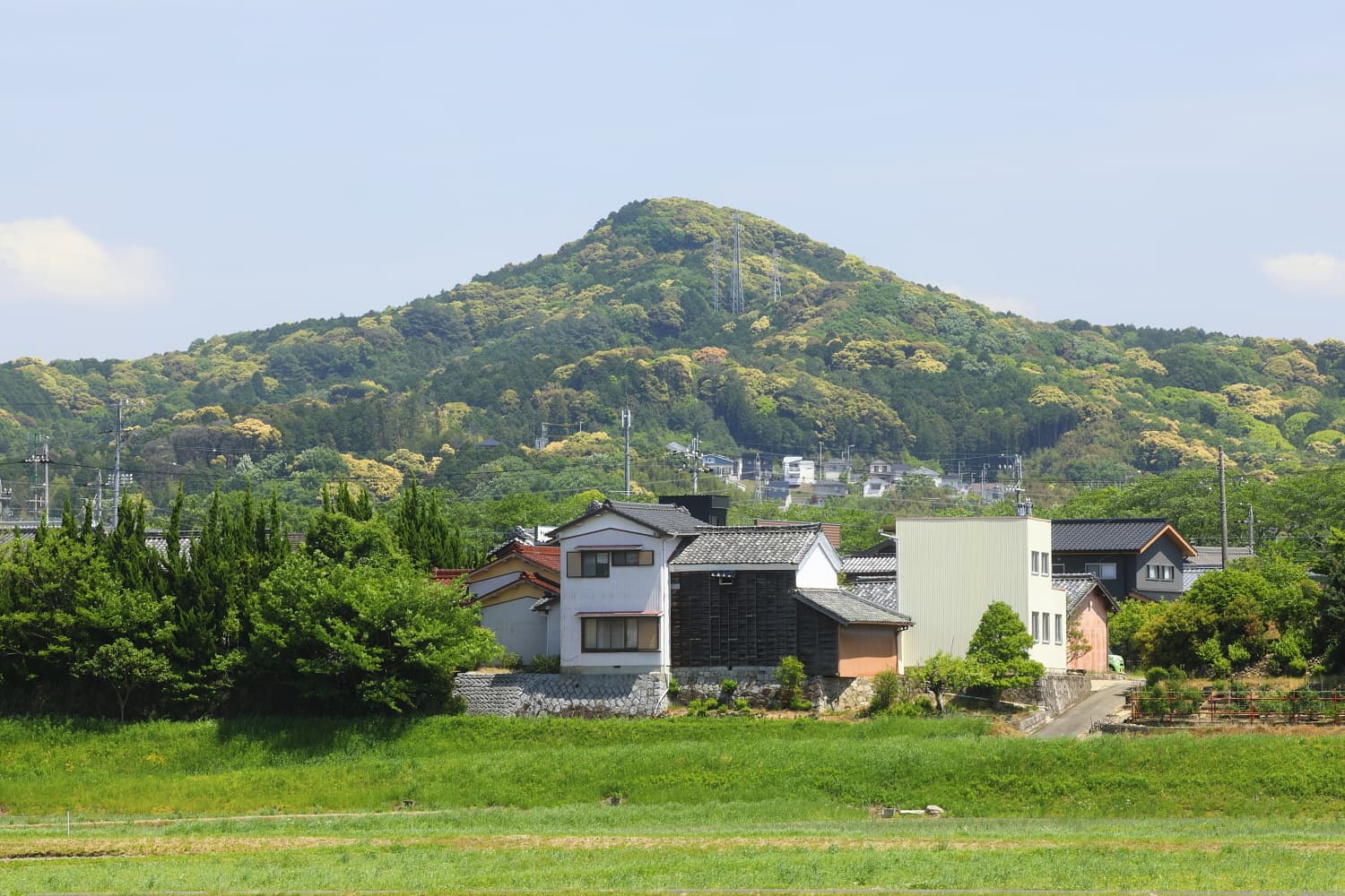 Mount Murazumi: Hiking the Quiet Forests Above Okazaki