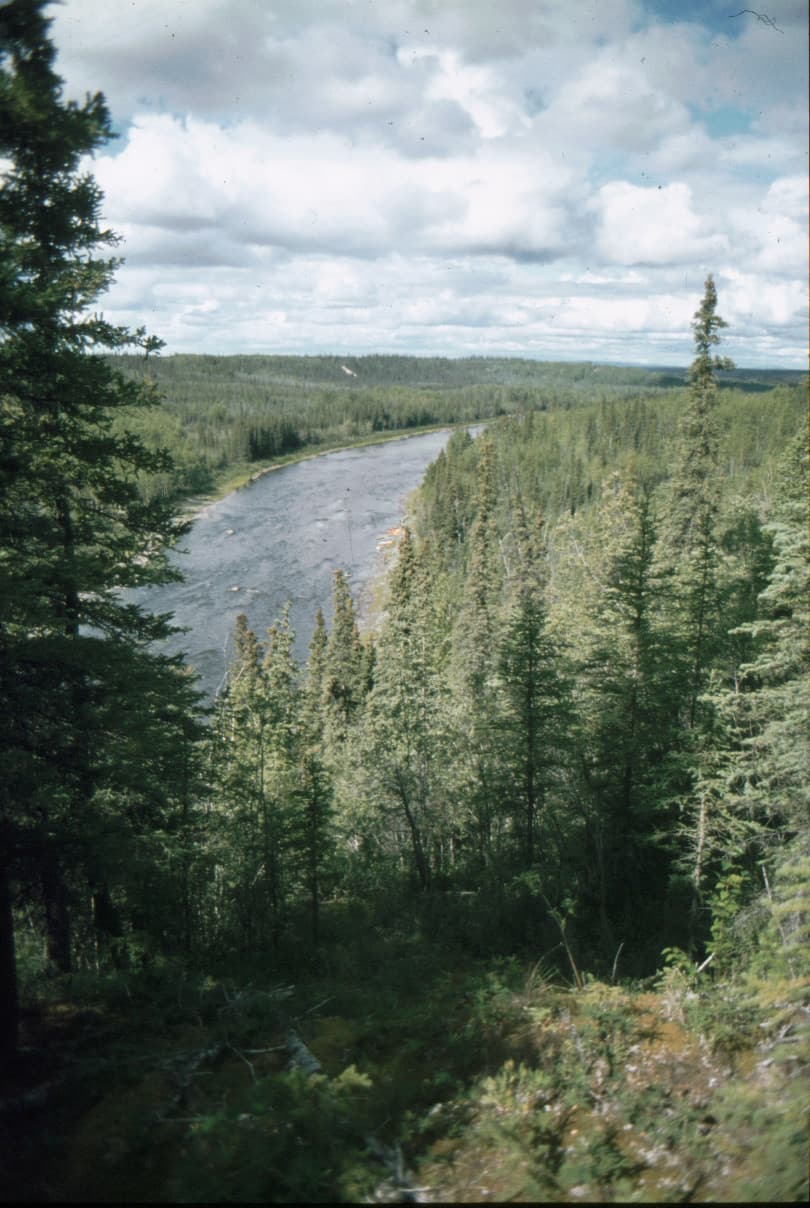 Gulkana River: Alaska’s Premier Salmon Fishing and Wilderness Float