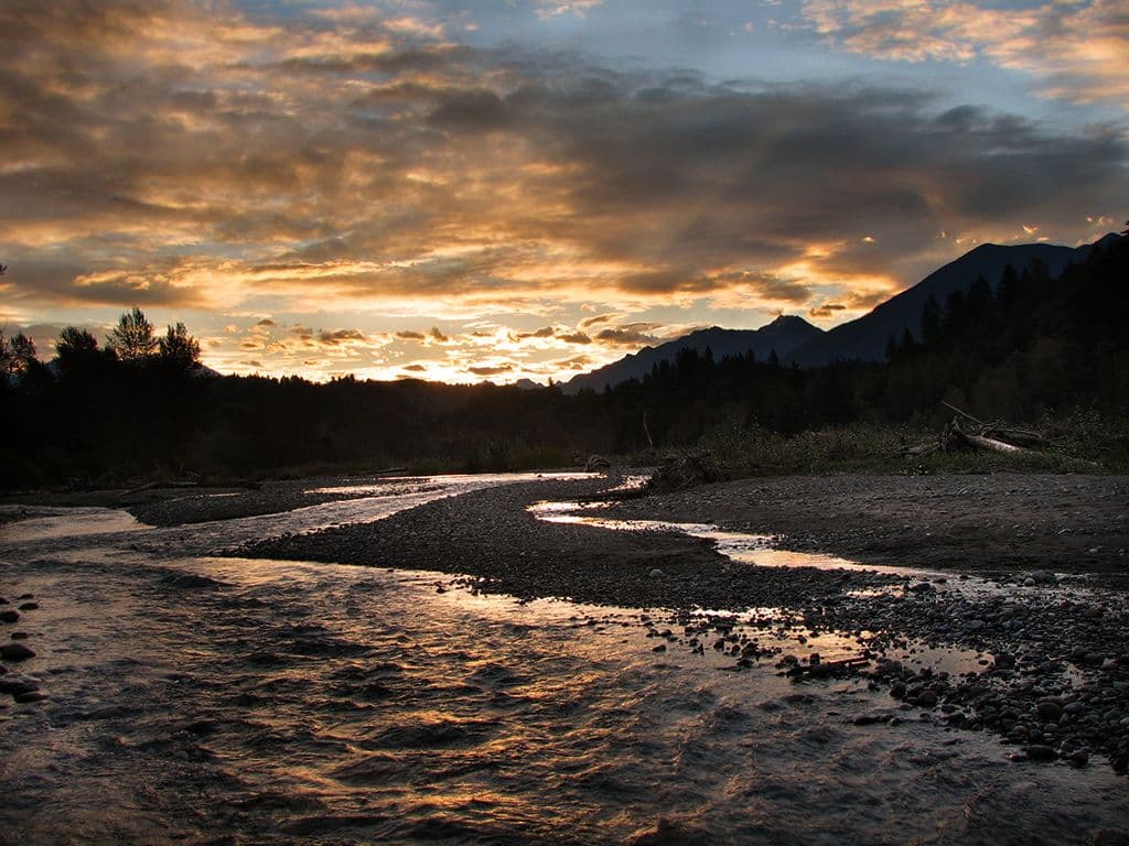 Vedder River: Salmon Fishing, Paddling and Riverside Trails in British Columbia