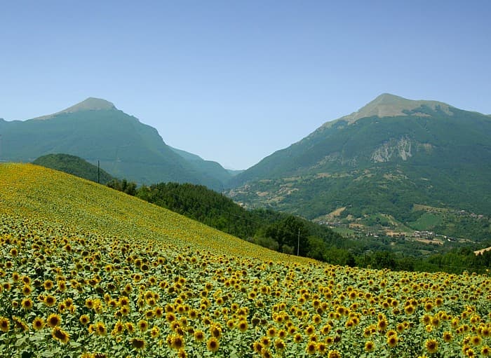 Montagna dei Fiori: Hiking the Wildflower Mountain of Abruzzo