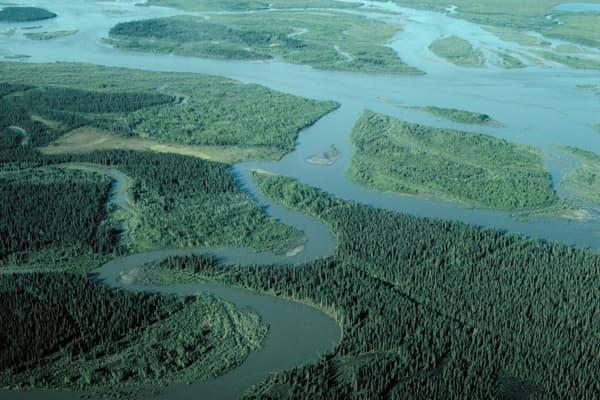 Noatak River: Rafting Alaska’s Untamed Arctic Wilderness