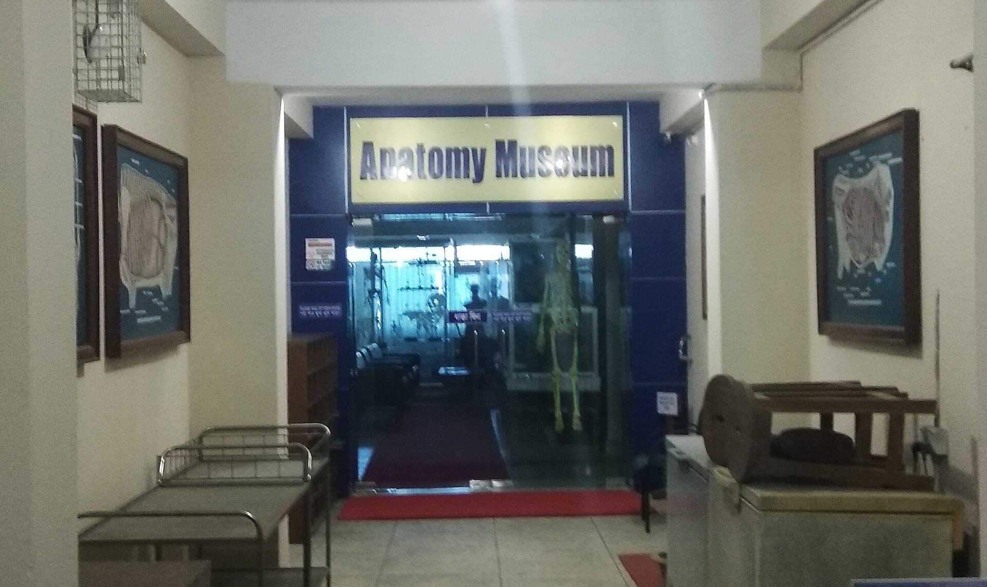 Anatomy Museum, CVASU: Exploring Veterinary Anatomy in Chattogram