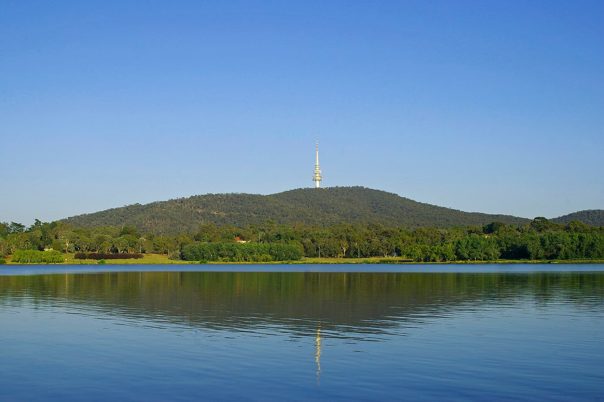 Black Mountain: Canberra’s Wild Heart and Panoramic Lookout