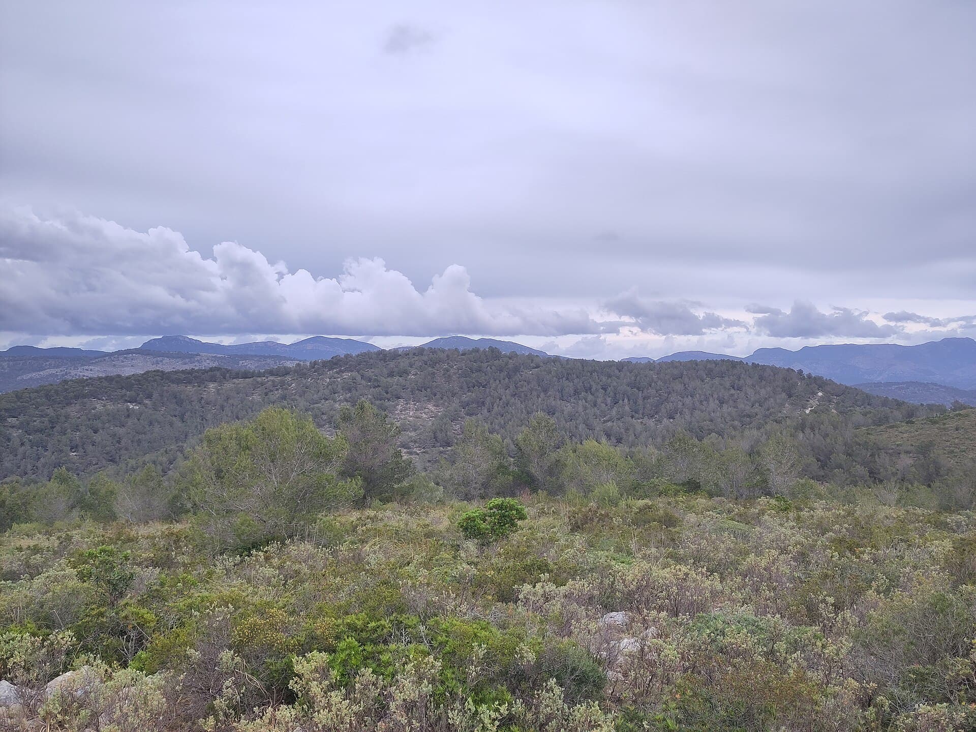 Puig d’en Bou: A Rewarding Hike to a Tranquil Mallorca Summit