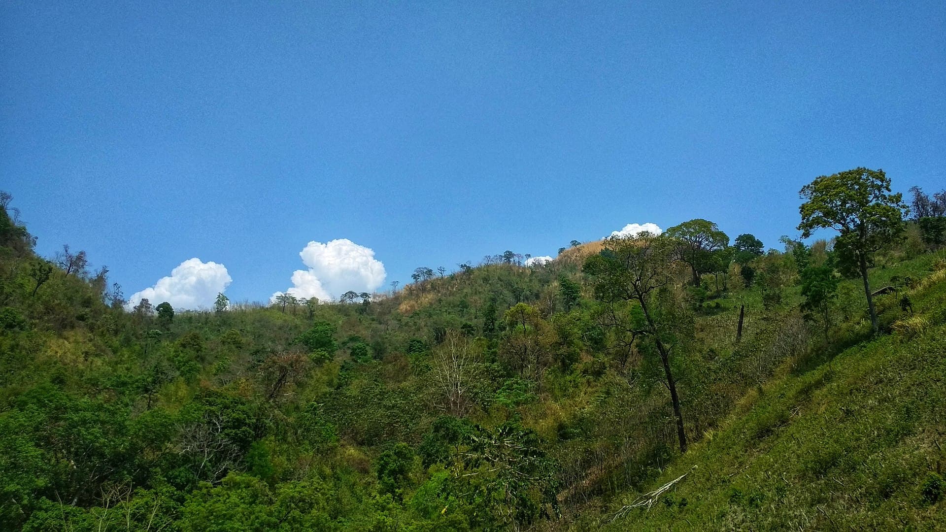 Tazing Dong: Trekking Bangladesh’s Highest Peak in Thanchi