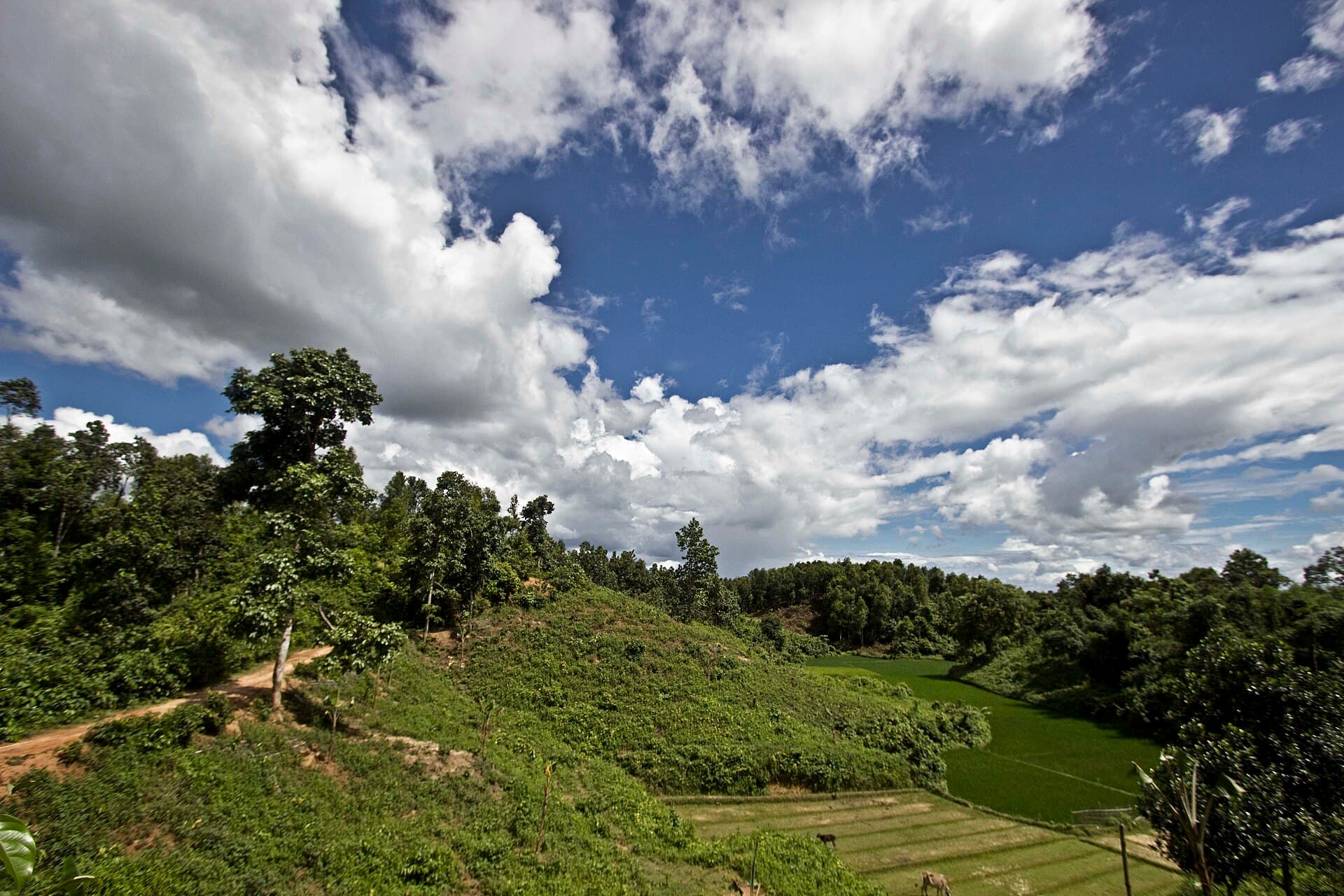 Rema-Kalenga Wildlife Sanctuary: Exploring Sylhet’s Ancient Forest Reserve
