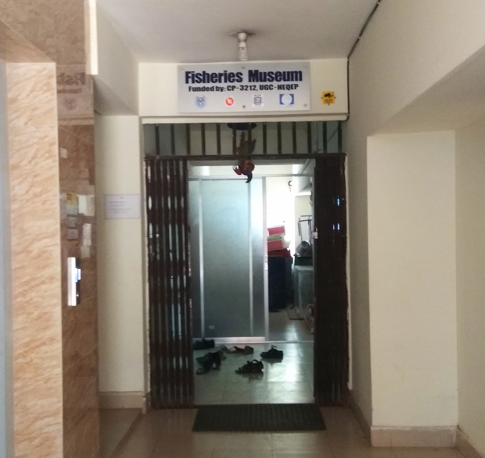 Fisheries Museum at CVASU: Marine Life Insights in Khulshi