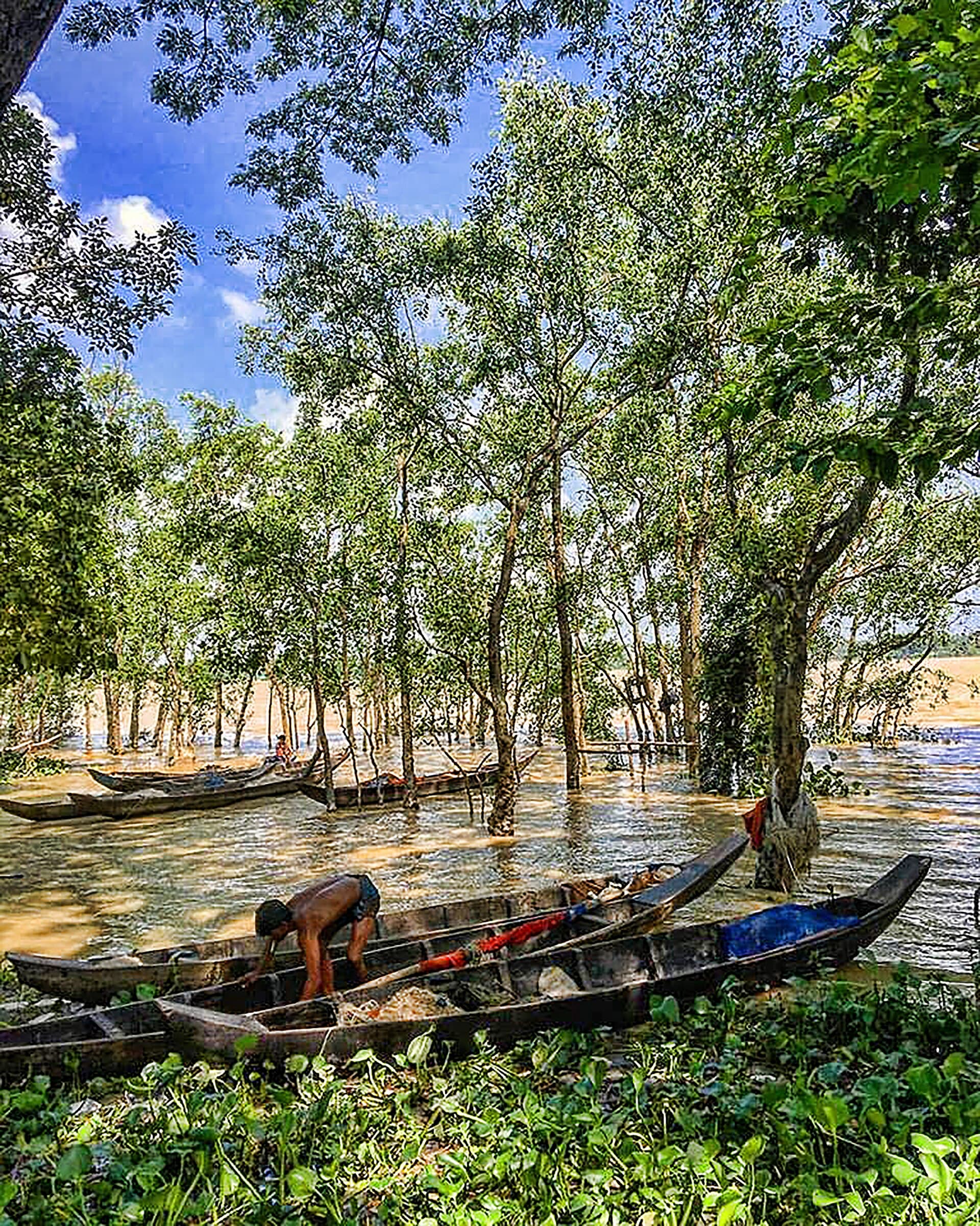 Chunati Wildlife Sanctuary: A Biodiversity Haven in Bangladesh’s Chattogram Hills