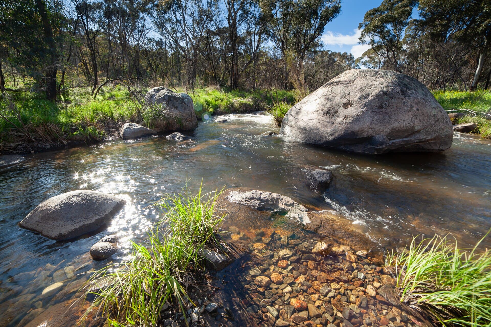 Gudgenby River: Exploring a Wild Waterway in Namadgi National Park