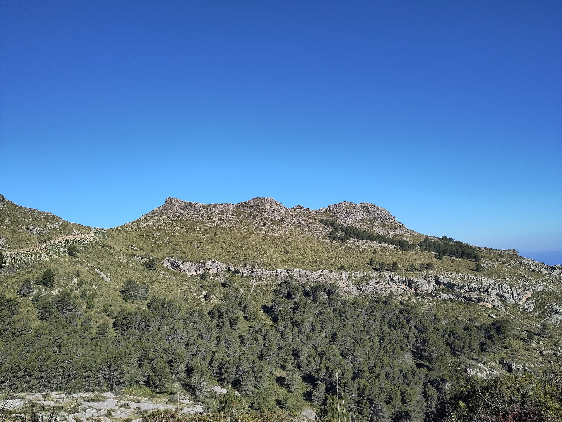 Puig Rodó: A Quiet Hike to One of Mallorca’s Lesser-Known Peaks