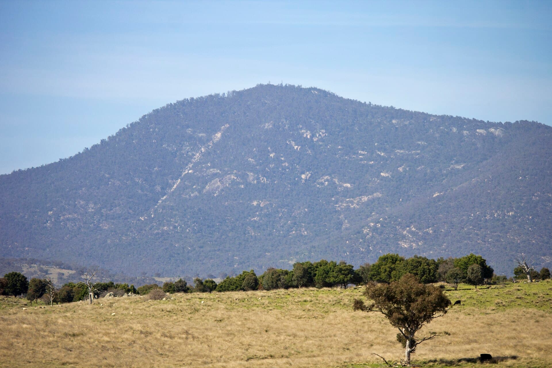 Mount Tennent: Summit Hike and Panoramic Views in Namadgi National Park