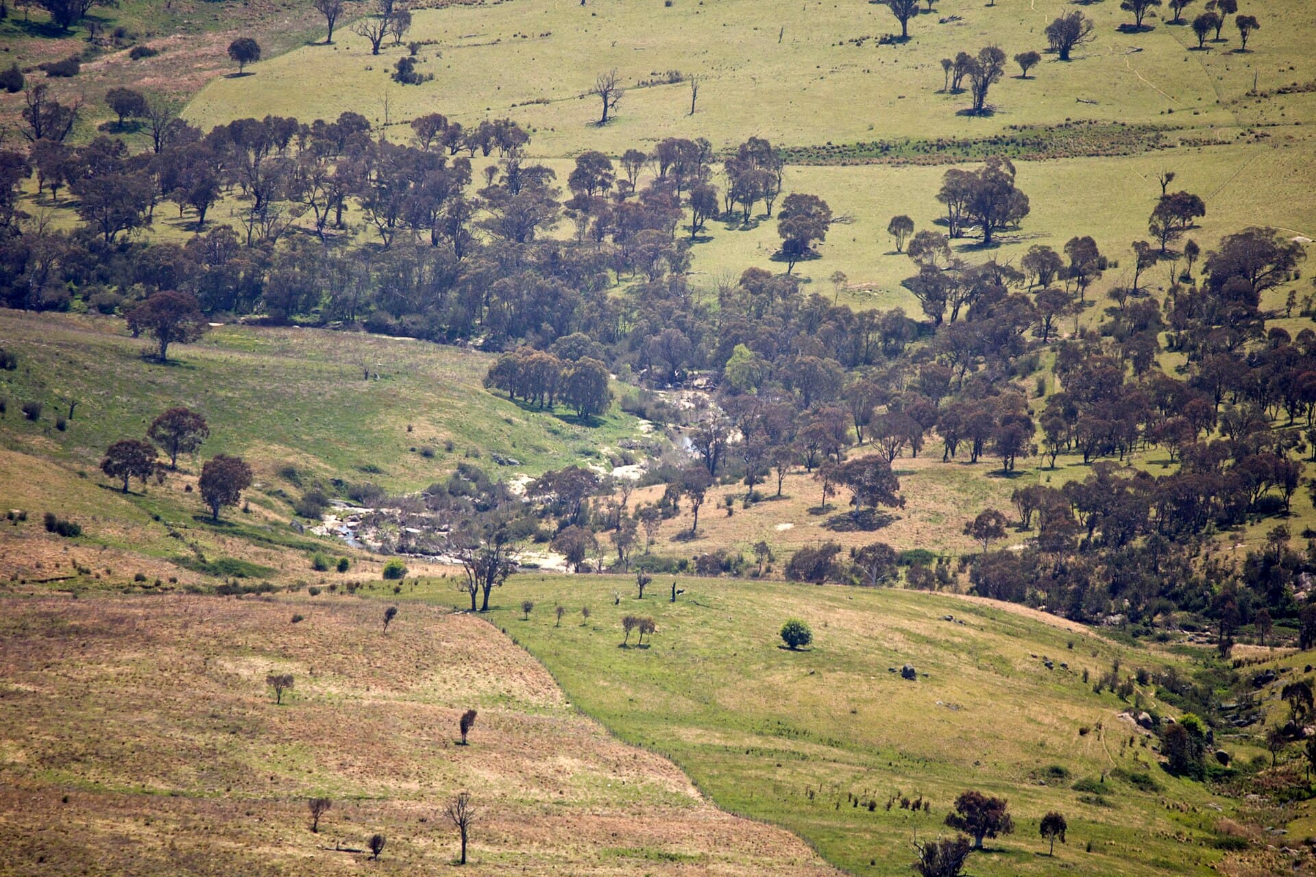 Paddys River: Swimming Holes and Bushwalks in the ACT