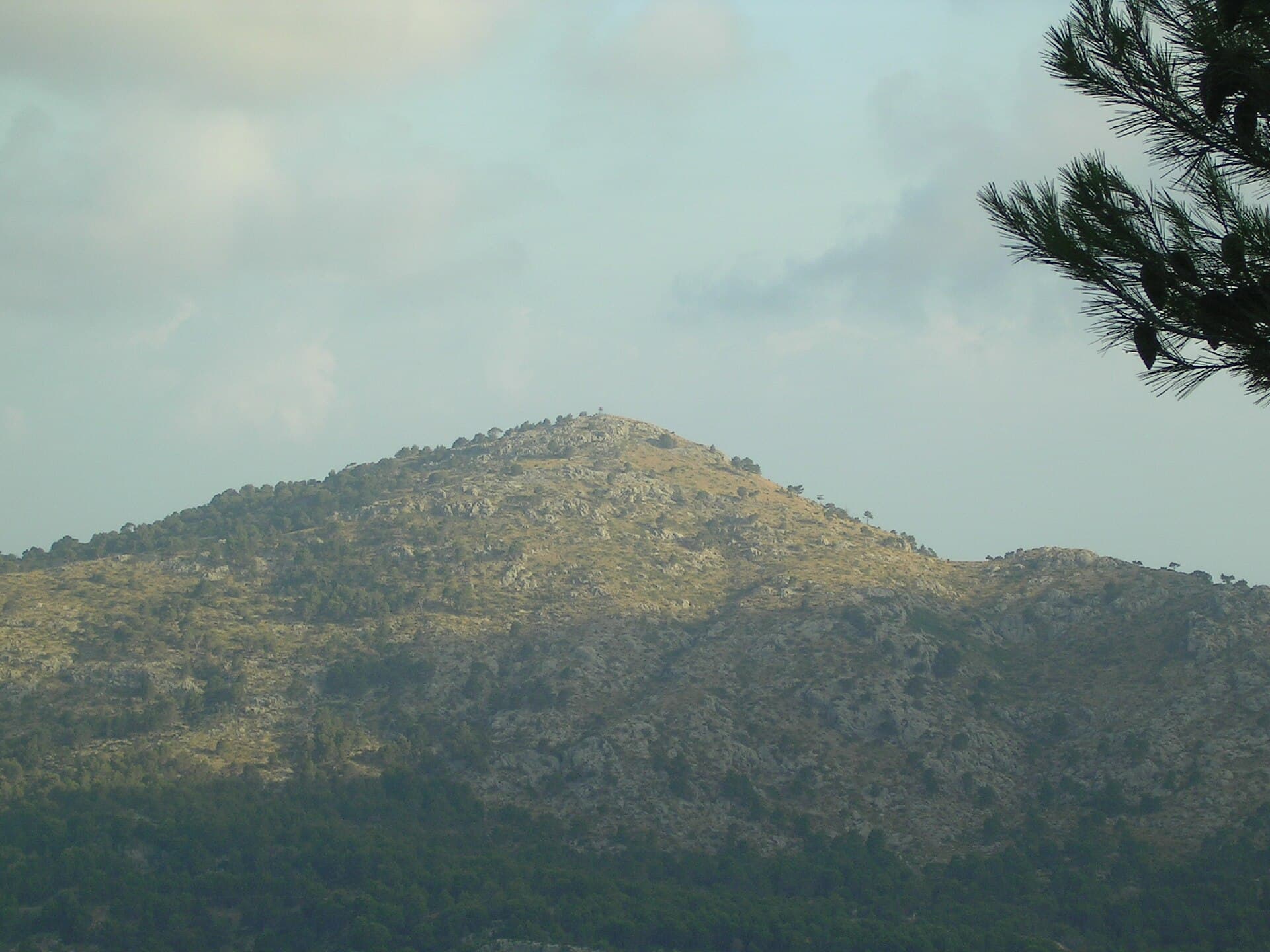 Puig de la Bassa: Hiking the Quiet Summit in Mallorca’s Tramuntana