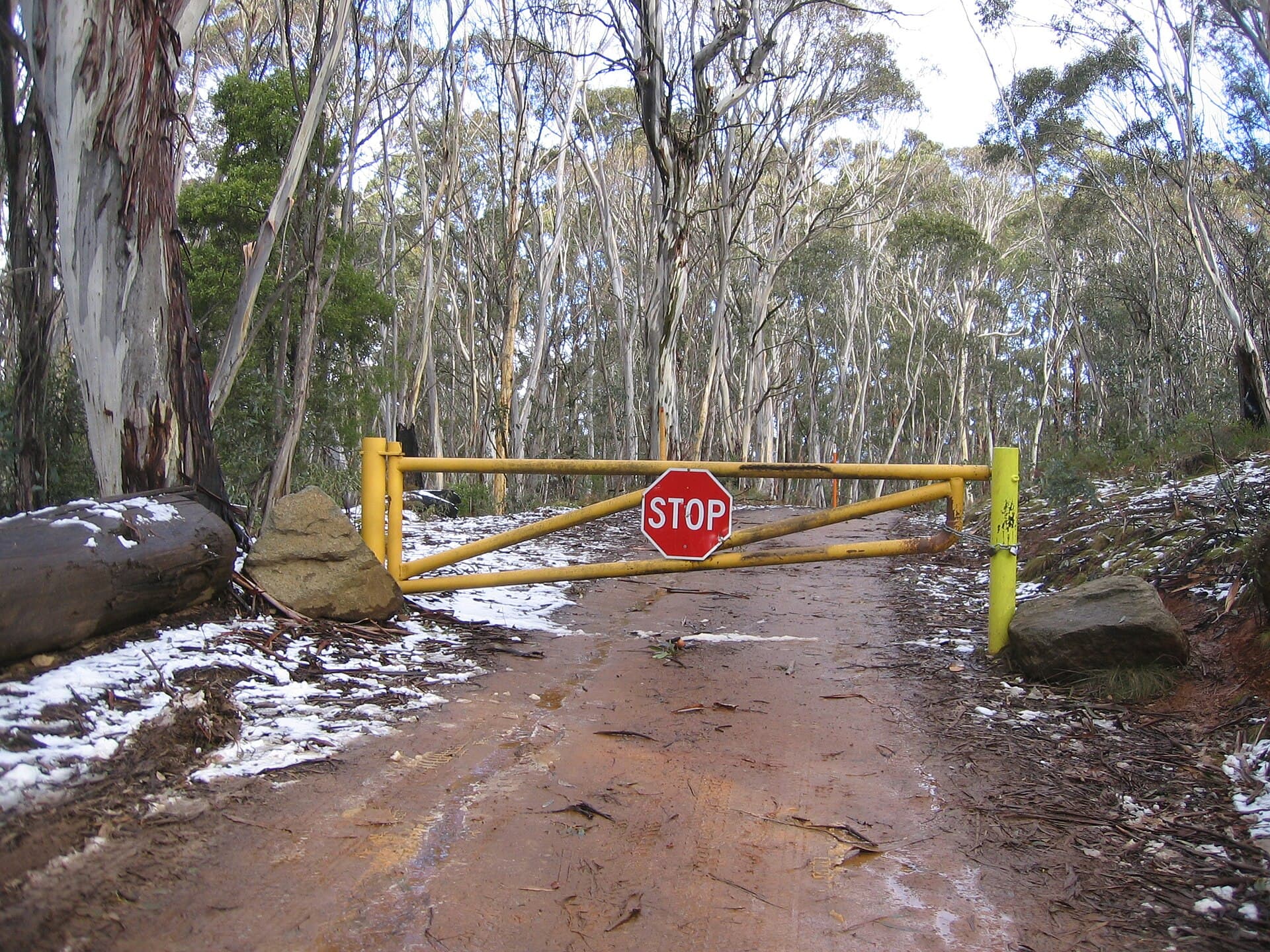 Mount Franklin: Summit Hikes in the Brindabella Ranges