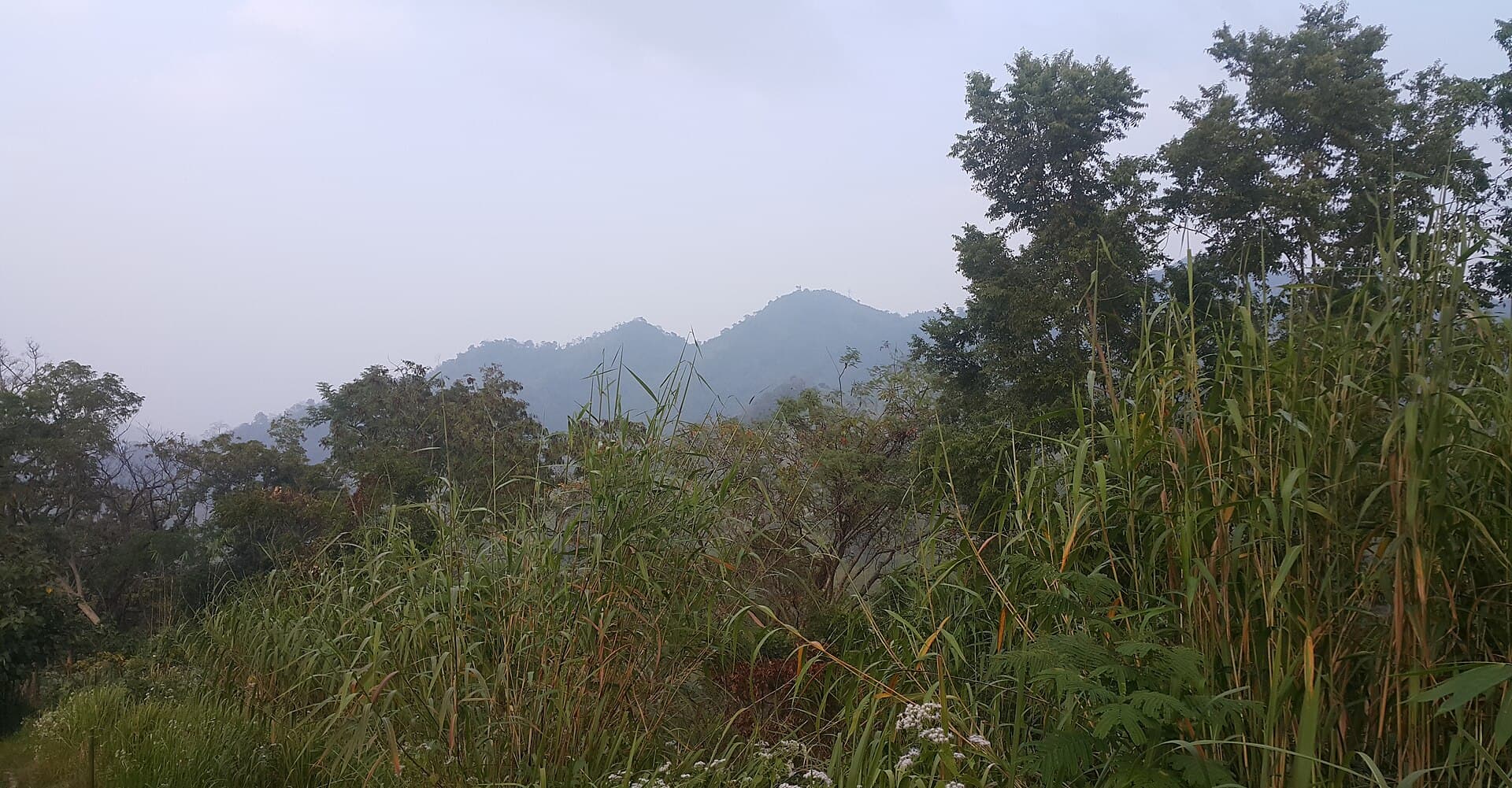 Thaingkhiang Taung: Trekking Bangladesh’s Remote Chittagong Hill Tracts Peak