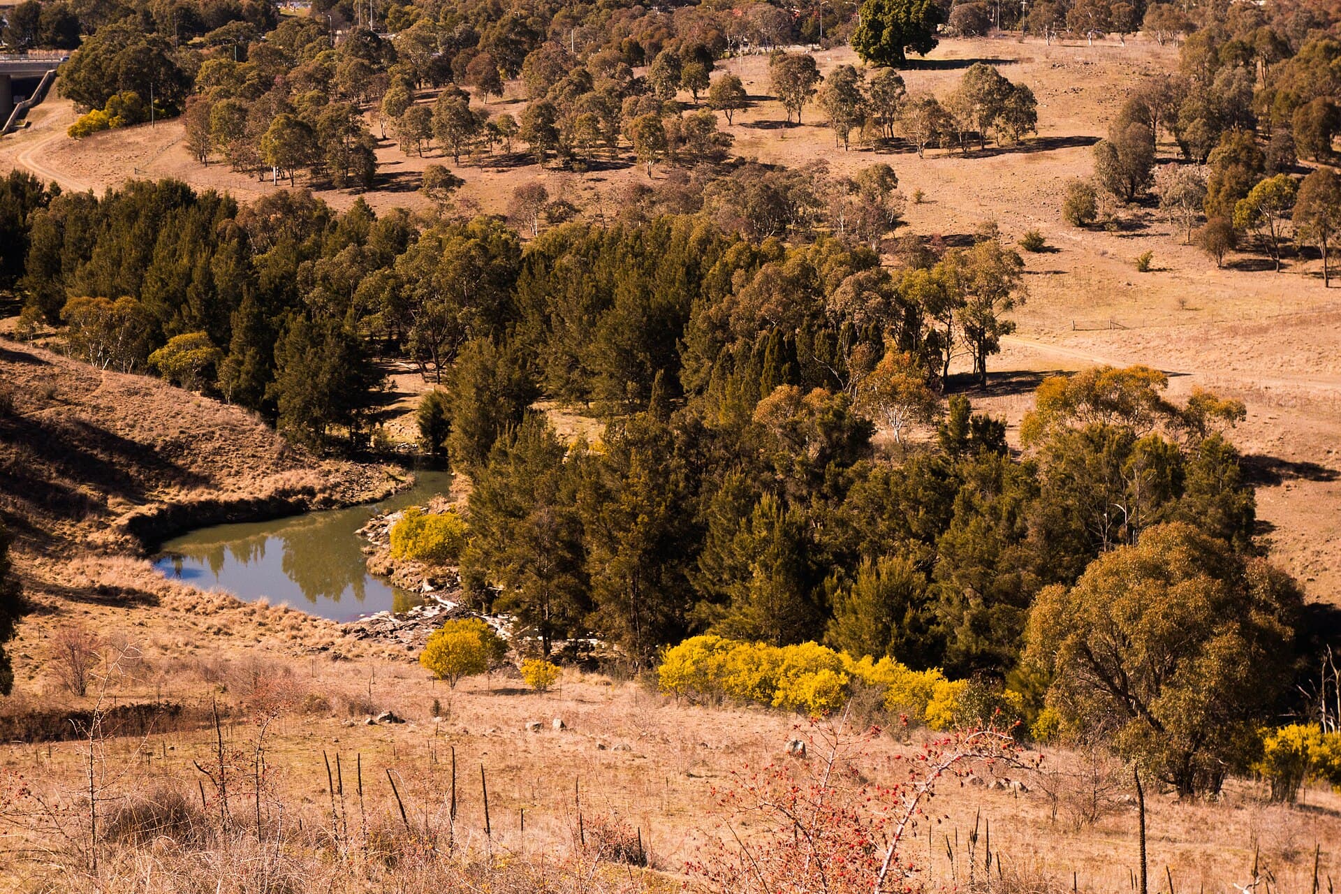 Tuggeranong Creek: Canberra’s Quiet Southern Waterway