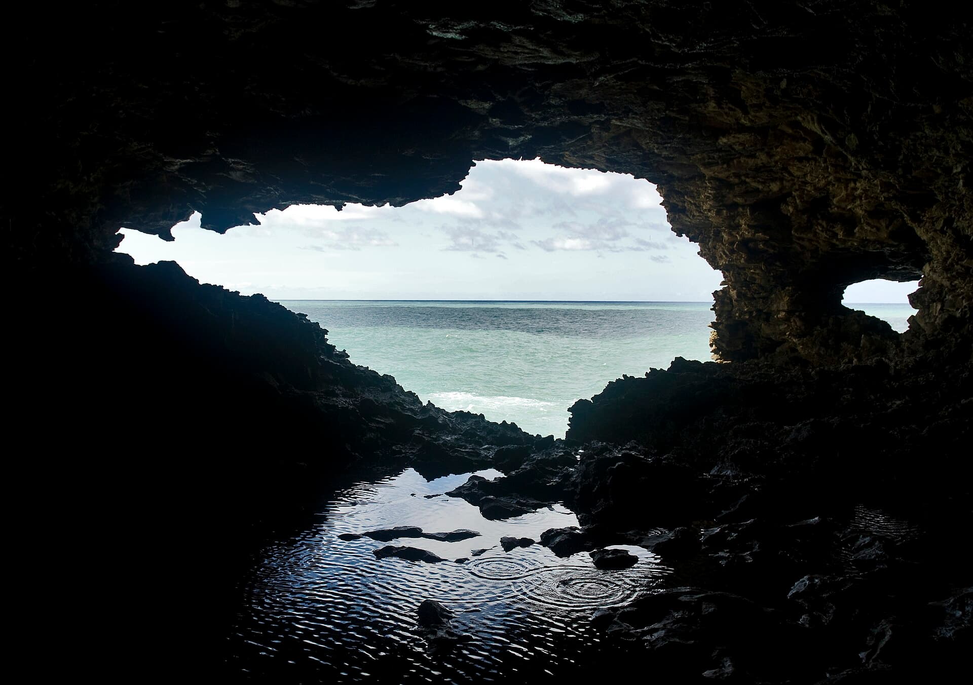 Animal Flower Cave: Barbados’ Northernmost Sea Cave Adventure