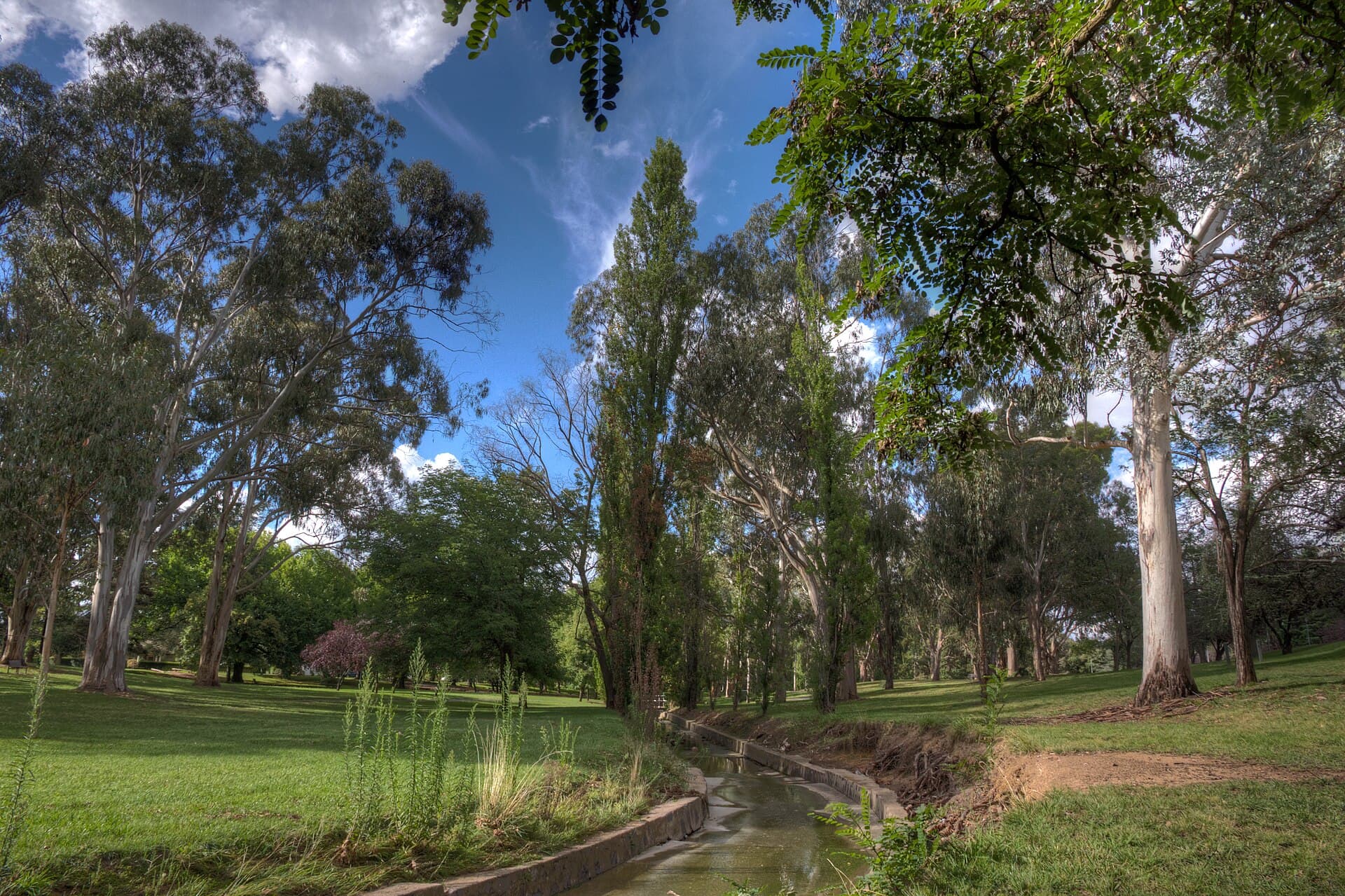 Telopea Park: Canberra’s Native Garden Sanctuary