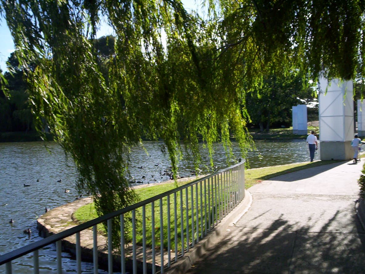 Commonwealth Park: Canberra’s Lakeside Gardens and Events Hub