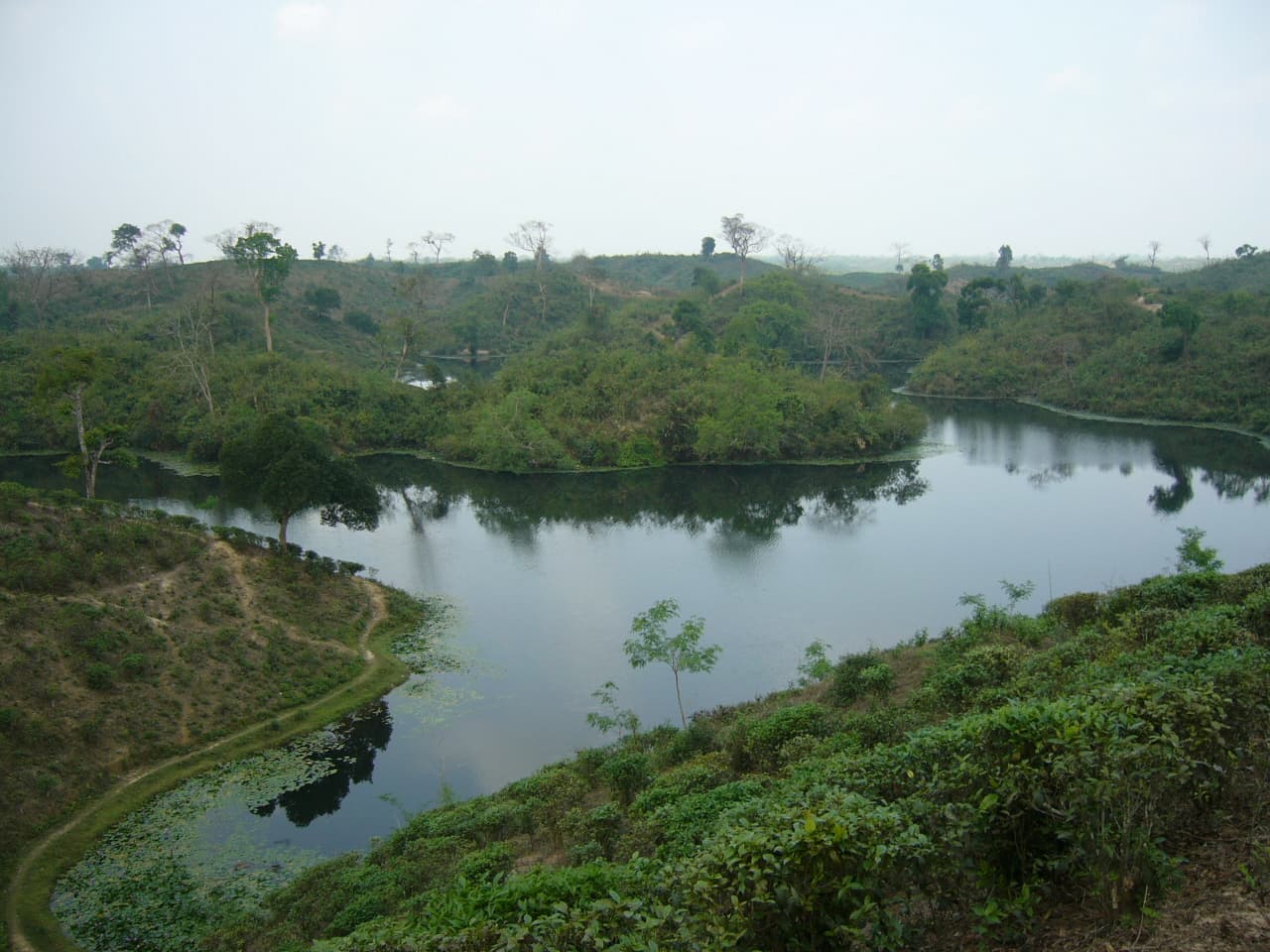 Madhobpur Lake: A Peaceful Retreat in Bangladesh’s Tea Country