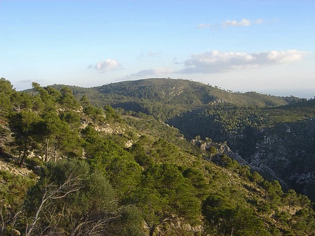 Puig Gros de Bendinat: Hiking Mallorca’s Accessible Coastal Peak